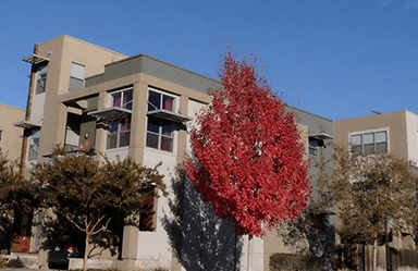 The Good Project homes in West Sacramento